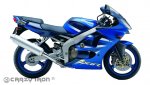 Crazy Iron 4065 Слайдеры для Kawasaki ZX-6R 2000-2002