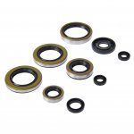 Bearing Worx Комплект сальников двигателя Kawasaki KDX200 95-06, KDX220R 97-05 (822296)