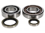 Bearing Worx Комплект подшипников и сальников коленвала KTM SX50 01-08