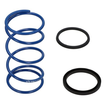 Пружина ведомого шкива Polini - SLIDER Yamaha EVO