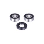 Комплект подшипников и сальников переднего колеса CHAKIN CH25-1439