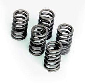 Пружины сцепления Ferodo FSS0206