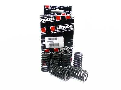 Ferodo FSS0407 Пружины сцепления