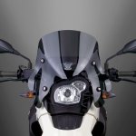 ZTechnik Ветровое стекло G650GS (28см) 95% Z2470