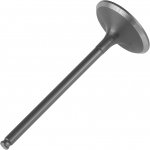 Клапан впускной OEM 12004-0018 Kawasaki KX450F 06-08