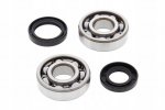 Bearing Worx Комплект подшипников и сальников коленвала Kawasaki KX65 00-22, KX85 01-22 (24-1006)