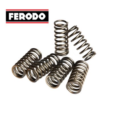 Ferodo Комплект пружин сцепления FSS0112