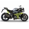 Crazy Iron Клетка серии DAMPER на мотоцикл BMW S1000R 21-