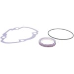 Комплект прокладок ЦПГ Polini Sport 70cc - Honda Dio AF18/24E