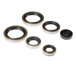 Bearing Worx Комплект сальников двигателя KTM SX125 98-15, EXC125 98-06, SX150 09-15 (822187)