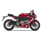 Crazy Iron Защита RACE RAIL HONDA CBR650R 2019-