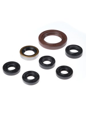 Bearing Worx Комплект сальников двигателя Arctic Cat DVX400 04-08, Kawasaki KFX400 03-06, LT-Z400 03-08 (822201)