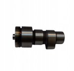 BRP OEM 420281803 Распредвал ГБЦ