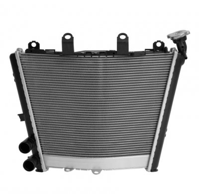 Радиатор для BMW M1000RR 21-24, S1000R 21-24, S1000RR 19-24