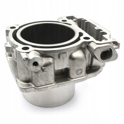 BRP OEM 420413116 Цилиндр задний Can-Am