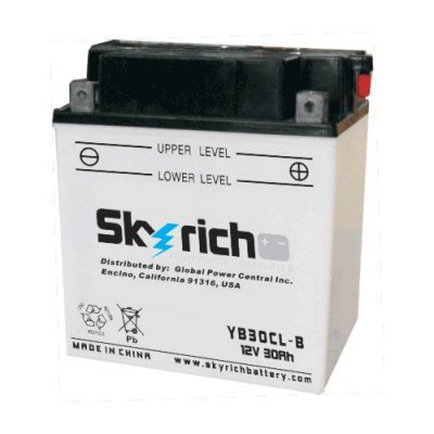 Skyrich Аккумулятор YB30CL-B