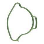 BRP OEM 420431682 Прокладка помпы