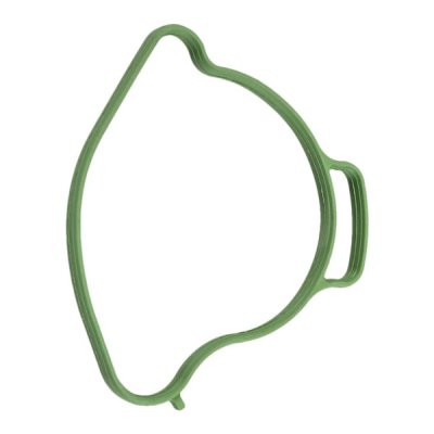 BRP OEM 420431682 Прокладка помпы