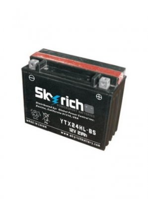 Skyrich Аккумулятор YTX24HL-BS