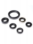 Bearing Worx Комплект сальников двигателя Kawasaki KFX450R 08-14 ATV (822334)