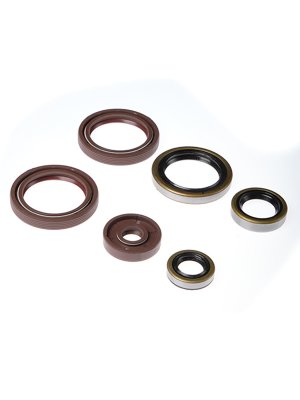 Bearing Worx Комплект сальников двигателя KTM EXC500 12-16, SX- F450 13-15 (822360)