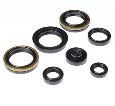 Bearing Worx Комплект сальников двигателя Suzuki RM250 06-08 (822317)