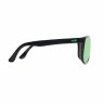 HZ Goggles Очки солнцезащитные Swish Black/Green