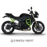 Crazy Iron 7010217 Клетка демпферная DAMPER Triumph Street Triple от 2007 г.в.